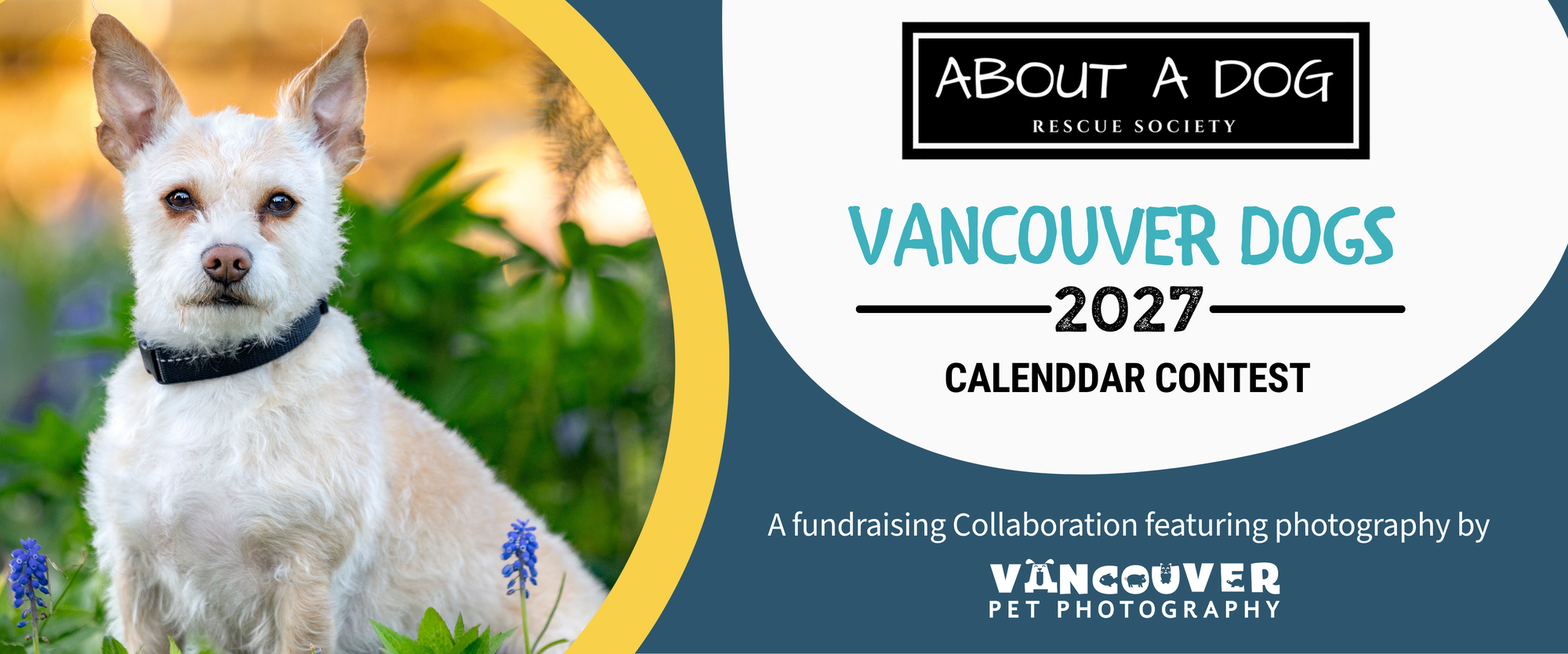 Banner for Vancouver Dogs 2027 Calendar Contest