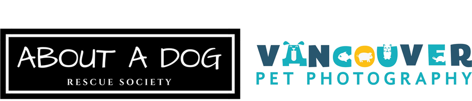 Logo for Vancouver Dogs 2027 Calendar Contest