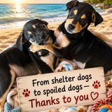 Entry image for Rico and Lola