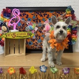 Entry image for Lulu