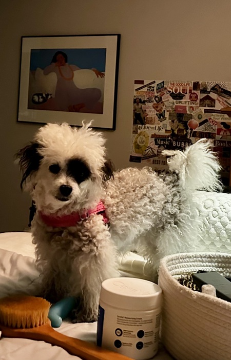 Entry image for Gigi. Clicking this image will show a larger photo