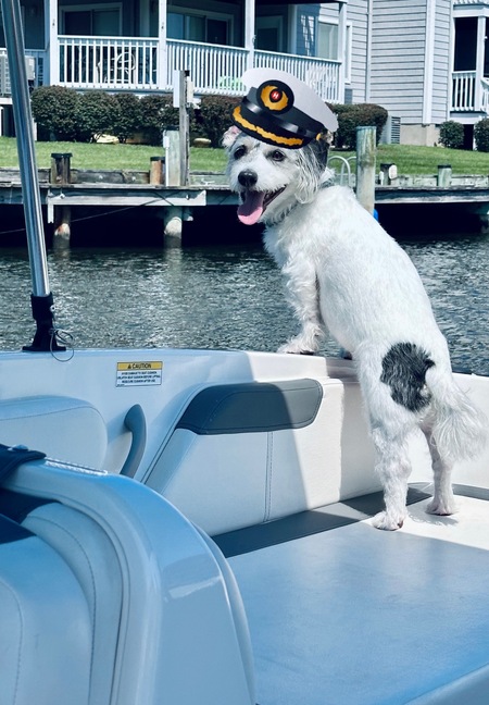 Entry image for Walt. Clicking this image will show a larger photo