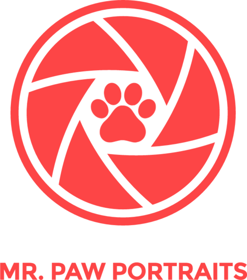 https://www.mrpawportraits.com/