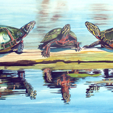 Entry image for Turtle Trio