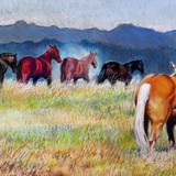 Entry image for Dusty Trail