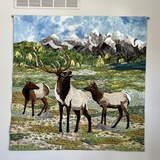 Entry image for Yellowstone Elk