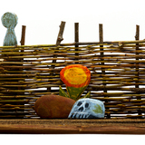 Entry image for Where We Cannot Follow