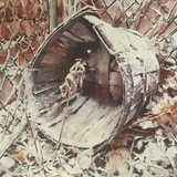 Entry image for Winter's Basket