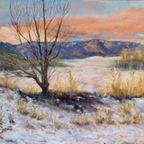Entry image for Sunrise for Arlo