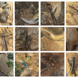 Entry image for Erosional Remains