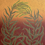 Entry image for Arching