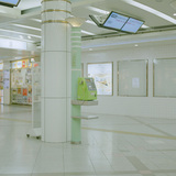 Entry image for Whity
