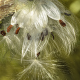 Entry image for Breaking Away