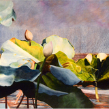 Entry image for Sky Pads 41