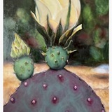 Entry image for Purple Prickly Pear