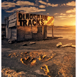 Entry image for Dino Tracks
