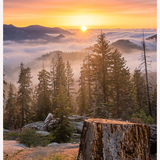 Entry image for Misty Valley