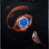 Entry image for The Sparrow's Song