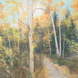 Entry image for Aspen Path