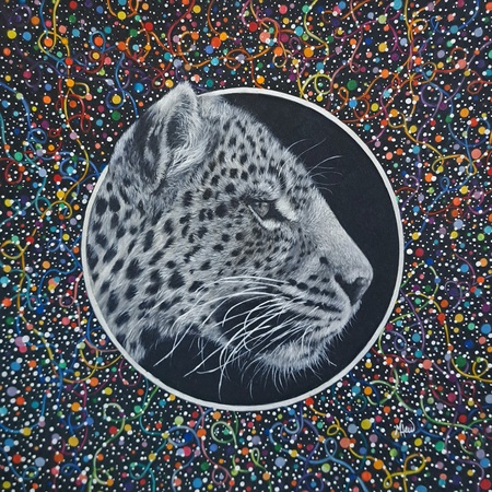 Entry image for Expression. Clicking this image will show a larger photo
