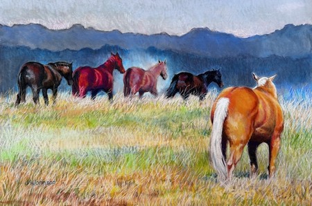 Entry image for Dusty Trail. Clicking this image will show a larger photo