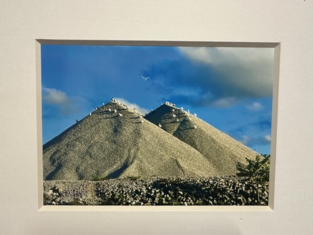 Entry image for Summer Roost. Clicking this image will show a larger photo