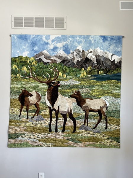 Entry image for Yellowstone Elk. Clicking this image will show a larger photo