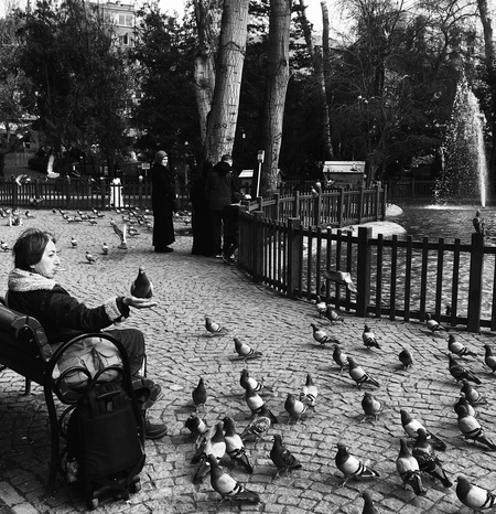 Entry image for Pigeon Park. Clicking this image will show a larger photo