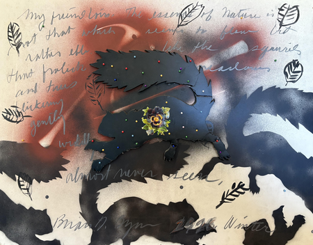 Entry image for Against the Flow. Clicking this image will show a larger photo