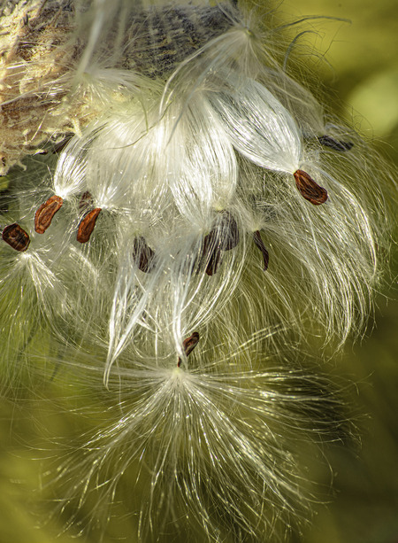 Entry image for Breaking Away. Clicking this image will show a larger photo