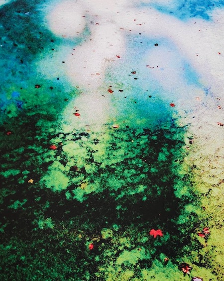 Entry image for Still Here. Clicking this image will show a larger photo