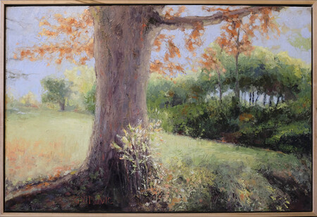 Entry image for On Horseshoe Hill. Clicking this image will show a larger photo