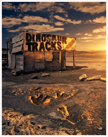 Entry image for Dino Tracks. Clicking this image will show a larger photo