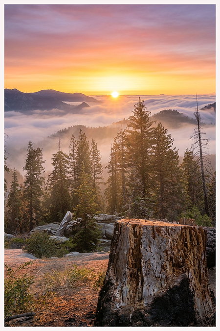Entry image for Misty Valley. Clicking this image will show a larger photo