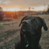 Entry image for Alaska