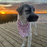 Entry image for Elly May