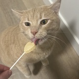 Entry image for Otis