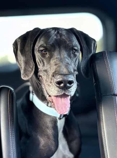 Entry image for Oakley. Clicking this image will show a larger photo