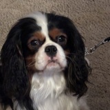 Entry image for Barry