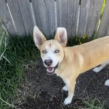 Entry image for Crouton