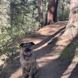 Entry image for Riley