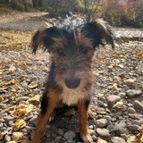 Entry image for Reba