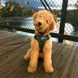 Entry image for Winnie