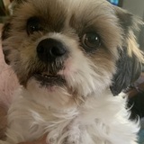 Entry image for Willy7.8