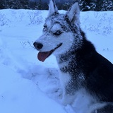Entry image for Zoe