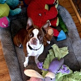 Entry image for Tessie