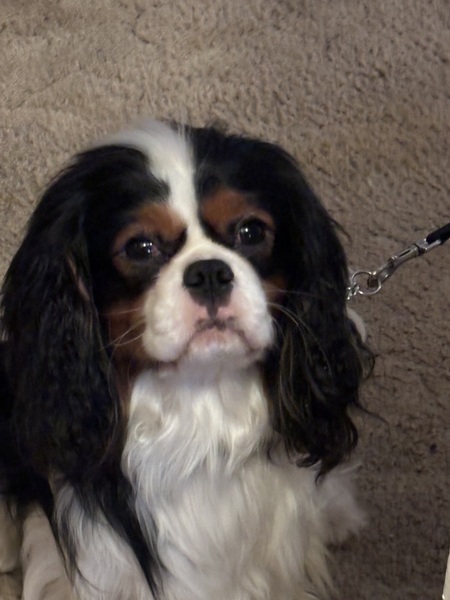 Entry image for Barry. Clicking this image will show a larger photo