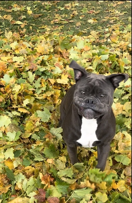Entry image for Marv . Clicking this image will show a larger photo