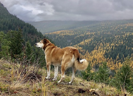 Entry image for Wyatt. Clicking this image will show a larger photo