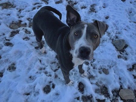Entry image for Muntz. Clicking this image will show a larger photo